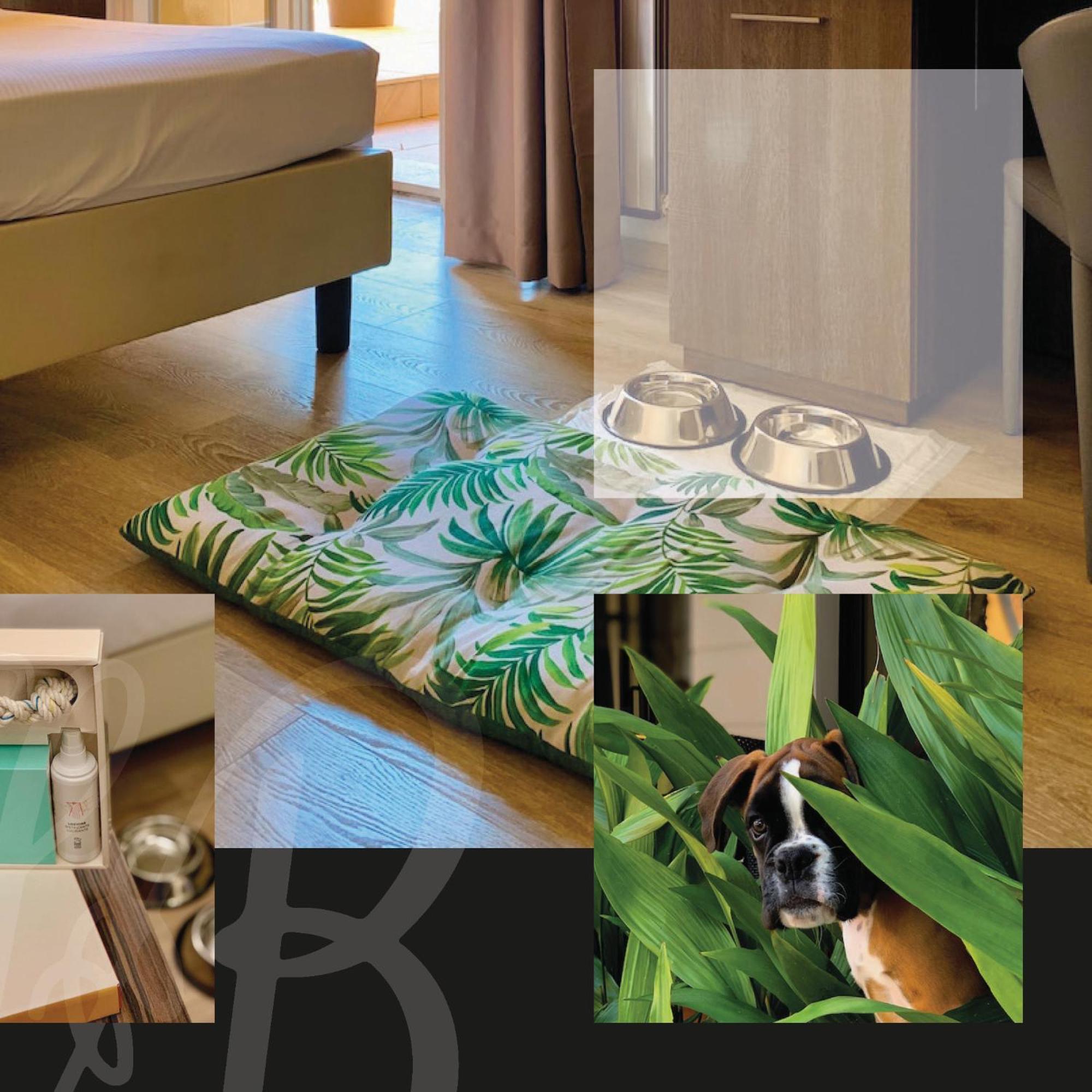 Hotel Brescia Boario Terme Kültér fotó